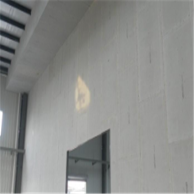 五通桥宁波ALC板|EPS加气板隔墙与混凝土整浇联接的实验研讨